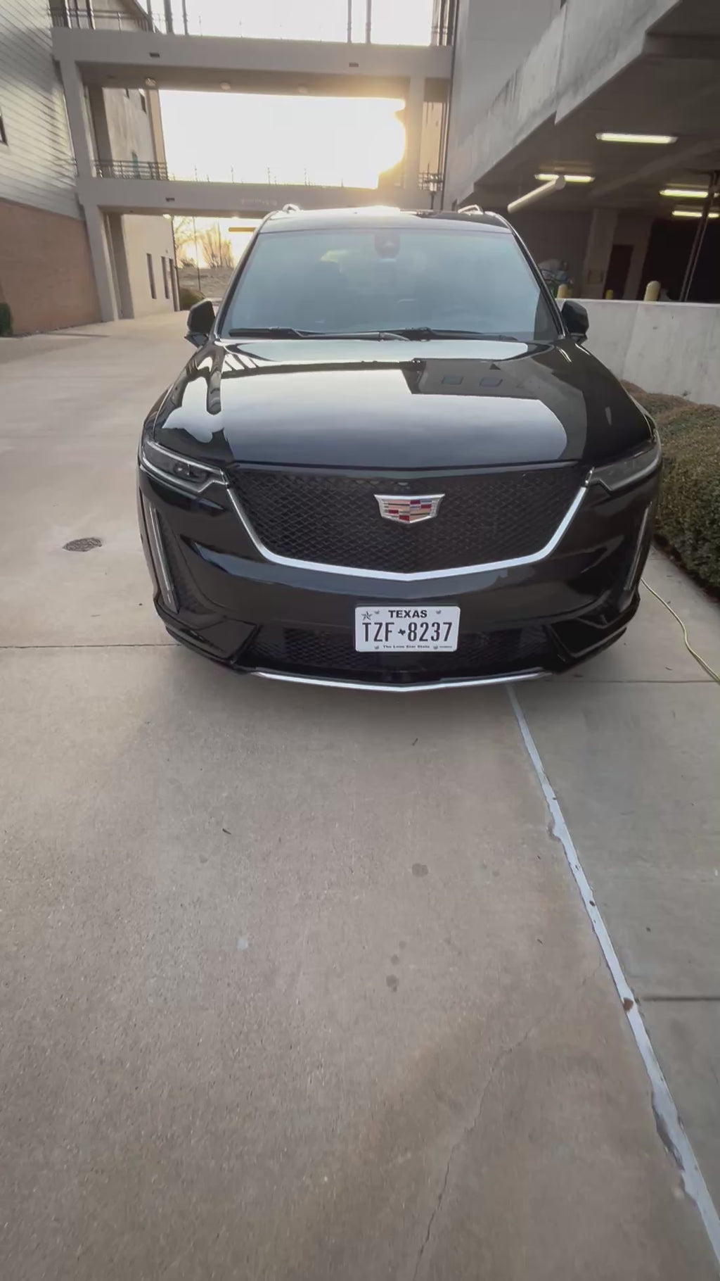 Car detailing YOU CHOOSE YOUR NEED