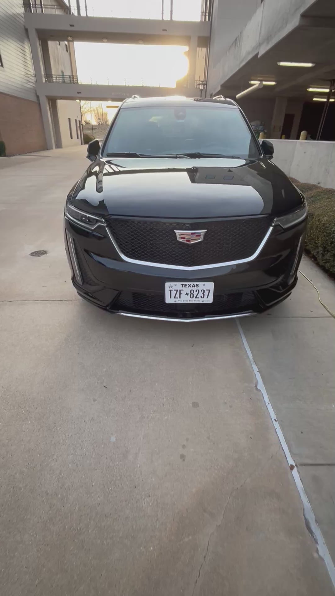 Car detailing YOU CHOOSE YOUR NEED